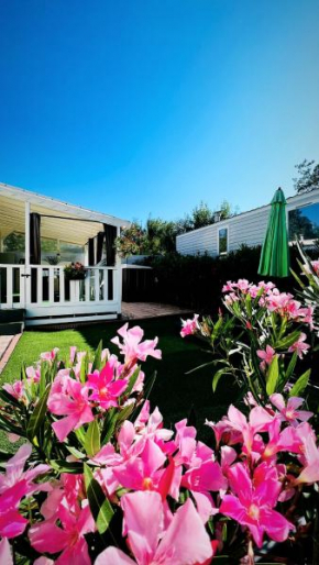La Carabasse charmant mobil-home très bien équipé